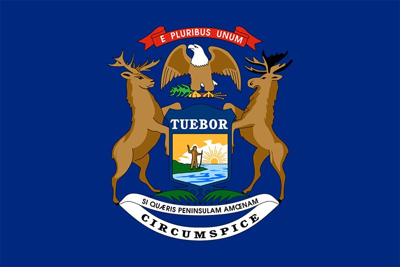michigan flag michigan flag